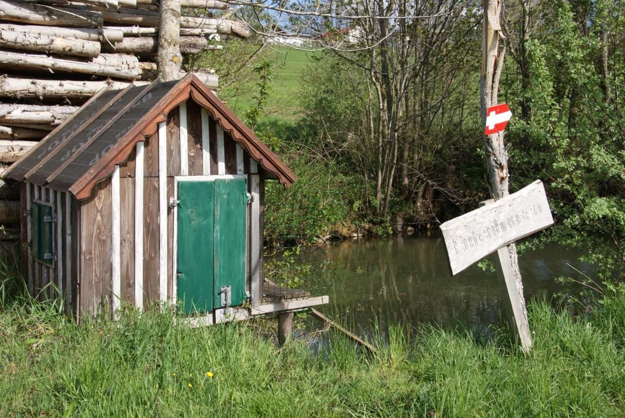 Ferienhof Edtmeier Zell am Moos Kültér fotó